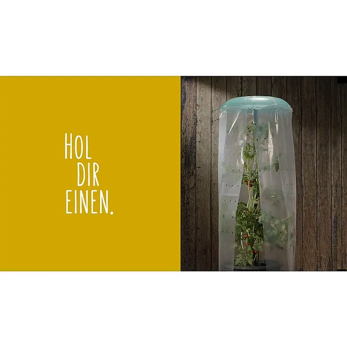 KHW Tomatengewächshaus Tomatenhut 3er Set - Durchmesser: 49 cm, Kunststoff - Image promoting a mini greenhouse for tomatoes.