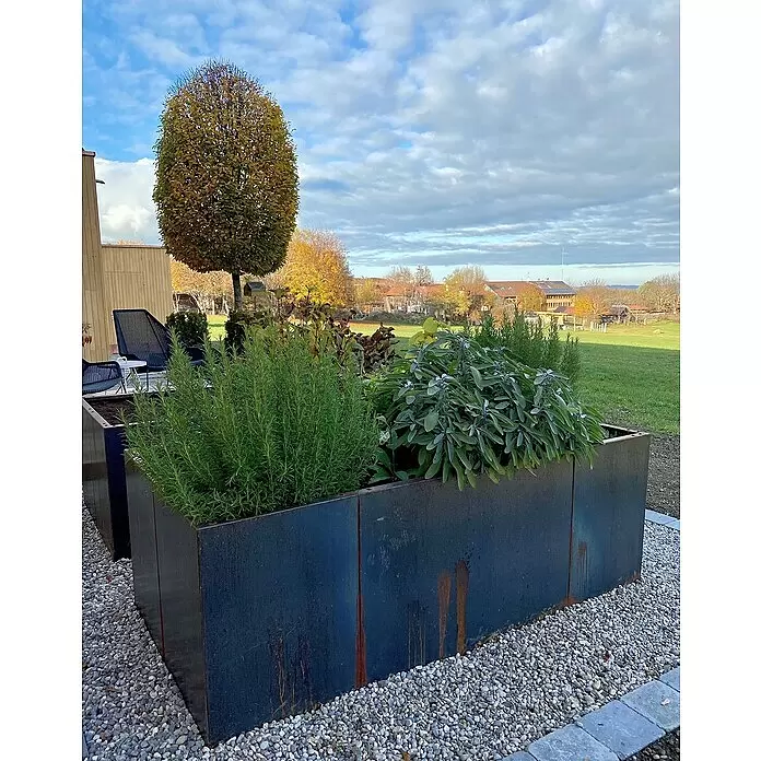 Palatino Hochbeet Urban C-Form - 500 x 500 x 70 cm, Stahl, Rostbraun - Stimmungsaufnahme