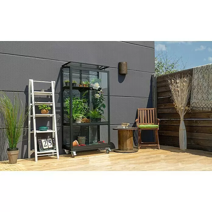 Vitavia Gewächshaus Stad 350 - Außenmaß inkl. Dachüberstand (B x T): 81 x 43 cm, 3 mm, Schwarz, Mit Rollfundament - Stimmungsaufnahme