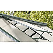 Vitavia Gewächshaus-Fensterrahmen (Smaragd, Passend für: Vitavia Gewächshäuser Eos) | BAUHAUS