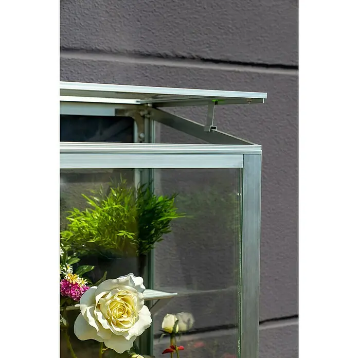 Vitavia Gewächshaus Stad 350 - Außenmaß inkl. Dachüberstand (B x T): 81 x 43 cm, 3 mm, Aluminium, Mit Rollfundament - Nahaufnahme eines Gewächshauses mit Glaswänden und Pflanzen. Die Konstruktion besteht aus robustem, silberfarbenem Metall.