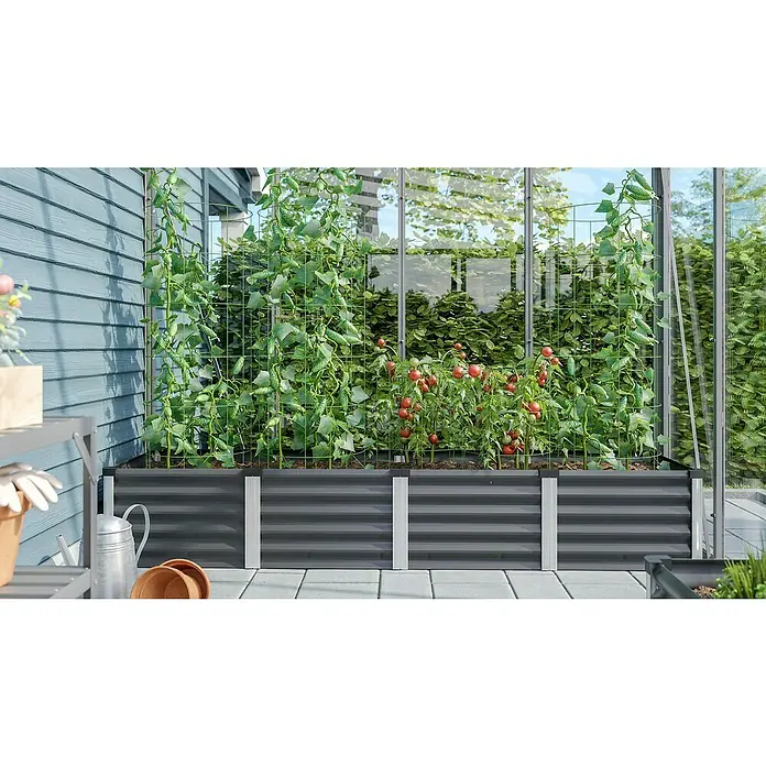 Vitavia Hochbeet Meta In&Out 401 - 245 x 65 x 40 cm, Zincalume®, Granit/Silber - Hochbeet mit Tomaten- und Gurkenpflanzen auf einer Terrasse. Das Beet ist aus grauem Metall gefertigt.
