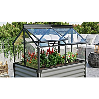 Vitavia Frühbeet Gaia Jumbo (L x B x H: 119,3 x 83,1 x 71,9 cm, Schwarz, Sicherheitsglas)