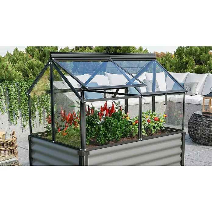 Vitavia Frühbeet Gaia Jumbo - L x B x H: 119,3 x 83,1 x 71,9 cm, Schwarz, Sicherheitsglas - Nahaufnahme eines Hochbeet-Gewächshauses mit Pflanzen darin.