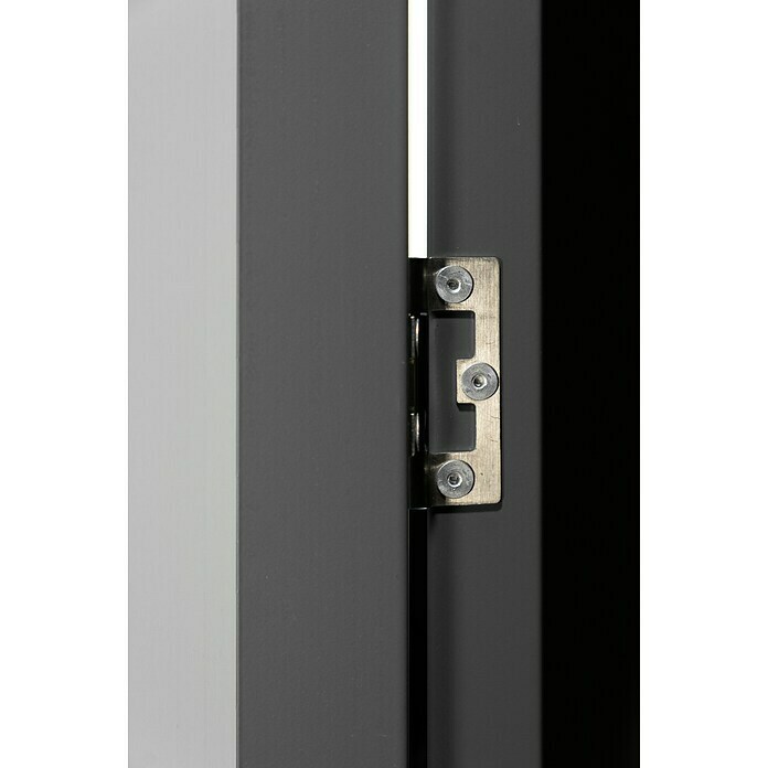 Globel Türpaket (66,5 x 172 cm, Anthrazit) | BAUHAUS