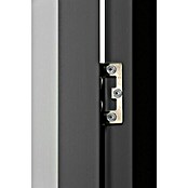 Globel Türpaket (66,5 x 172 cm, Anthrazit) | BAUHAUS