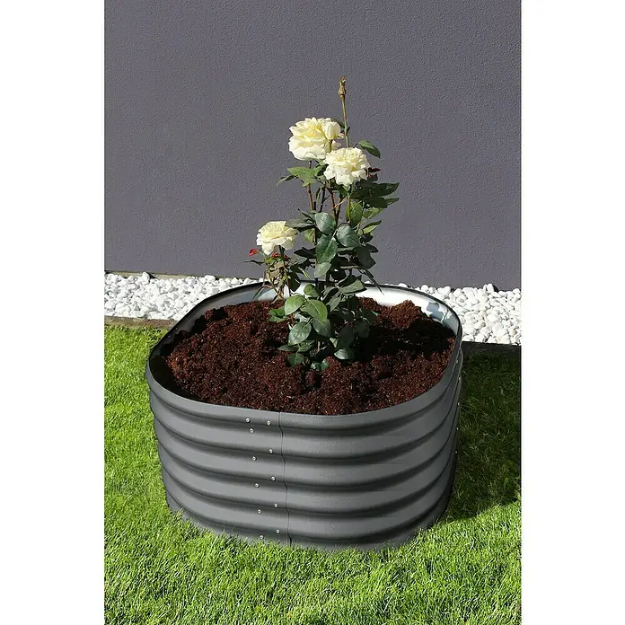 Vitavia Hochbeet Terra 401 - 82 x 82 x 40,1 cm, Zincalume®, Granit - Hochbeet aus Metall mit Rosen bepflanzt, ideal für Garten oder Terrasse, robust und stilvoll.