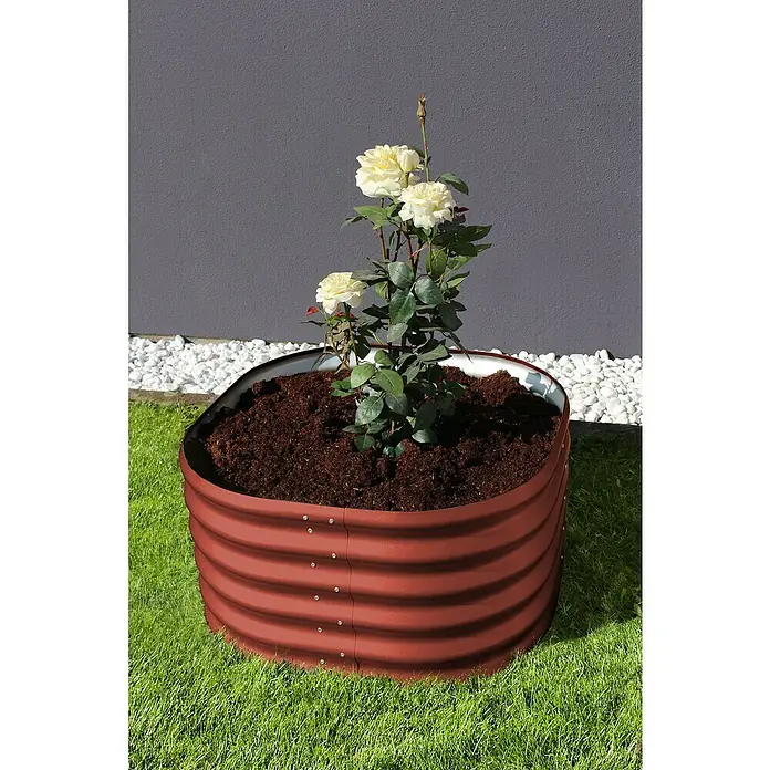 Vitavia Hochbeet Terra 401 - 82 x 82 x 40,1 cm, Zincalume®, Rubin - Ein erhöhter Pflanzkasten aus rotem Metall mit einer blühenden Rose, die auf einem grünen Rasen steht.