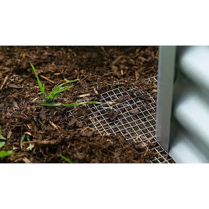 Vitavia Drahtgeflecht - 100 x 100 cm - Stimmungsaufnahme