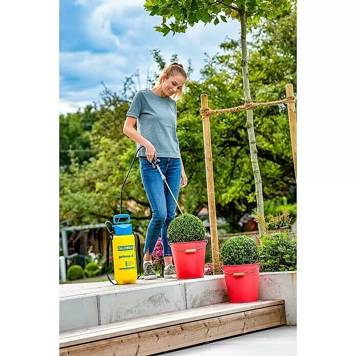 Gloria Sprühaufsatz 270° Pflanzenschutz Set Anti-Zünsler - Passend für: Gloria Drucksprühgeräte 3 - 18 l - Anwendungsbeispiel