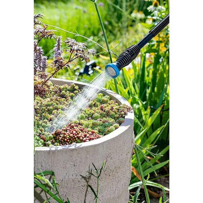 Gloria Hochdruckreiniger MultiJet 230V - Leistung: 1.500 W, Max. Druck: 120 bar - Bewässerung eines Pflanzgefäßes mit sukkulenten Pflanzen, die mit einer Sprühdüse mit Wasser besprüht werden, im Grünen.
