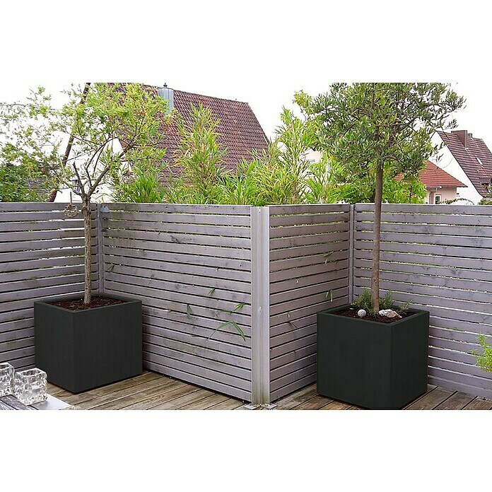 Palatino Exlusive Line Maceta para las plantas (60 x 60 x 60 cm, Acero, Antracita)