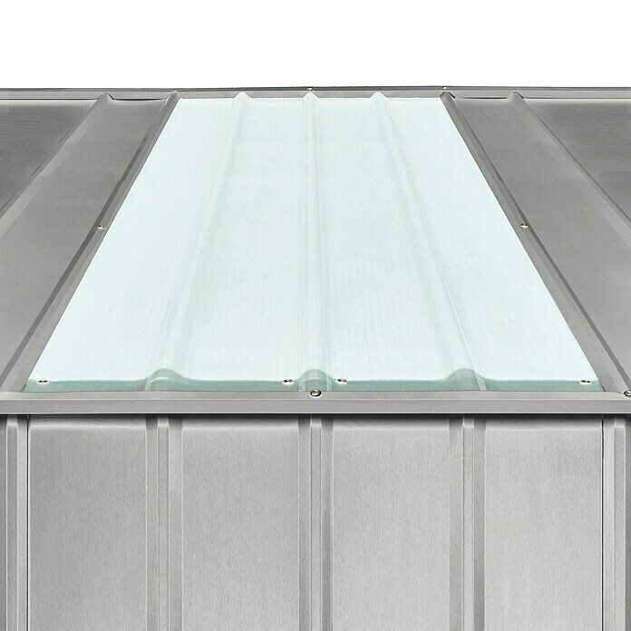 Globel Ersatz-Dachplatte Skylight (B x L: 65,5 x 155 cm, Passend für: Gartenmanager Dream (Modelle 108, 1010), Raumwunder Tower 108 und Wandzierde (Modelle 56, 58)) | BAUHAUS