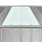 Globel Ersatz-Dachplatte Skylight (B x L: 65,5 x 155 cm, Passend für: Gartenmanager Dream (Modelle 108, 1010), Raumwunder Tower 108 und Wandzierde (Modelle 56, 58)) | BAUHAUS