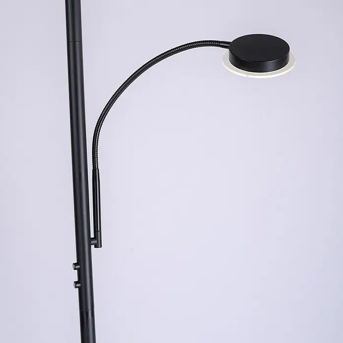 Paul Neuhaus Lámpara de pie LED Christine - 31,5 W, Altura: 193 cm, Negro, Blanco cálido - Lámpara de pie negra con brazo flexible y luz LED redonda. La lámpara tiene un diseño moderno y es adecuada como lámpara de lectura.