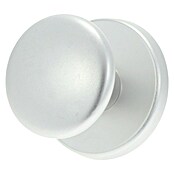 Ami Deurgreep Bol F1 (Aluminium) | BAUHAUS