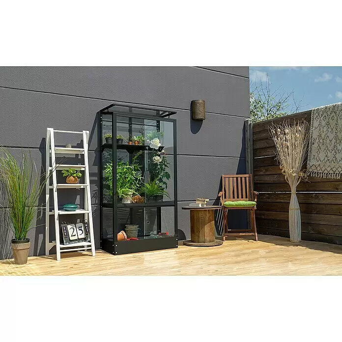 Vitavia Gewächshaus Stad 350 - Außenmaß inkl. Dachüberstand (B x T): 81 x 43 cm, 3 mm, Schwarz, Mit Stahlfundament - Stimmungsaufnahme