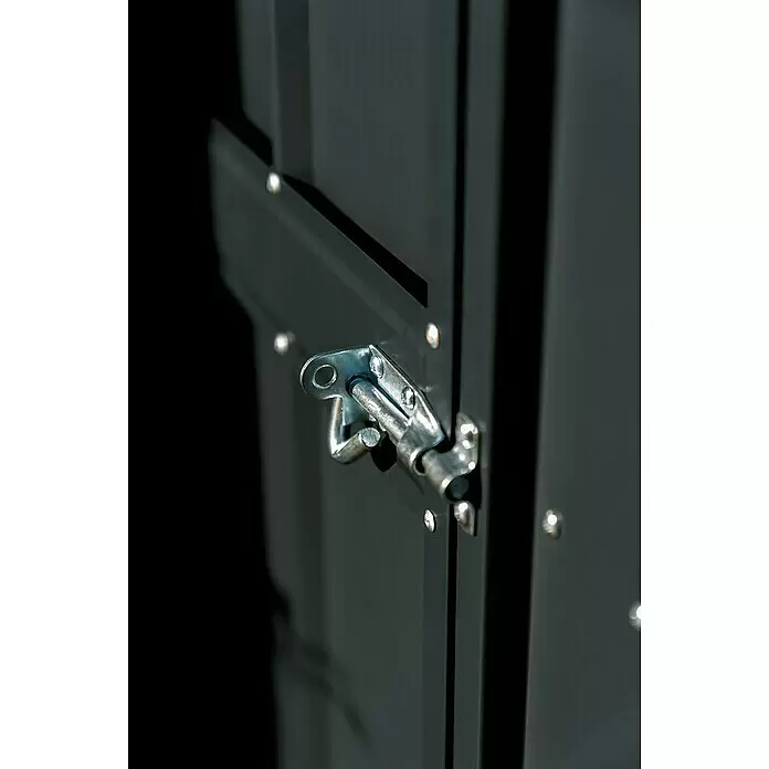 Globel Gerätehaus LeanTo 58 - 155 cm, 242 cm, Stahl, Anthrazit - Detailaufnahme