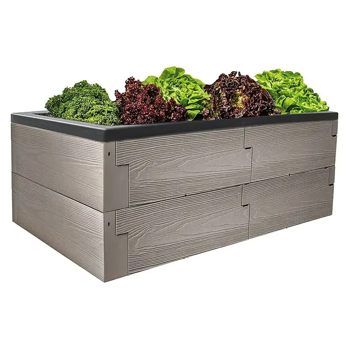 Juwel Hochbeet Timber - 130 x 60 x 41 cm, Kunststoff, Nordic Wood - Das Bild zeigt ein Hochbeet mit Salatpflanzen in verschiedenen Farben. Das Beet besteht aus Holzimitat und hat eine dunkle Umrandung.