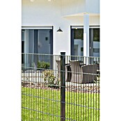 Zaunpfosten (Länge: 1.250 mm, Anthrazit, Metall) | BAUHAUS