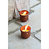 Citronella-Kerze (1 Stk., Ø x H: 8,5 x 8 cm, Beige) | BAUHAUS