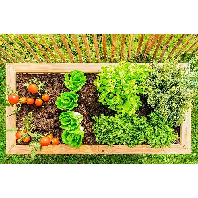 Westmann Hochbeet Lärche 170 - 170 x 90 x 84 cm, Holz, Natur - Blick von oben auf ein Hochbeet mit reifen Tomaten, frischem Salat, Basilikum, Petersilie und Rosmarin.