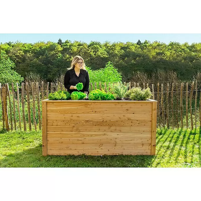Westmann Hochbeet Lärche 170 - 170 x 90 x 84 cm, Holz, Natur - Anwendungsbeispiel
