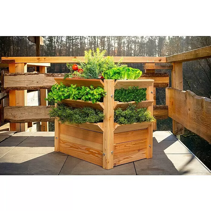 Westmann Hochbeet Premium XL - 90 x 65 x 73 cm, Holz, Natur - Stimmungsaufnahme
