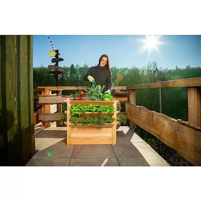 Westmann Hochbeet Premium XL - 90 x 65 x 73 cm, Holz, Natur - Anwendungsbeispiel