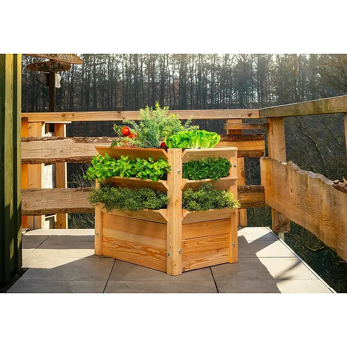 Westmann Hochbeet Premium XL - 90 x 65 x 73 cm, Holz, Natur - Mehrstöckiger Pflanzkasten aus Holz mit üppigem Gemüse und Kräutern, der eine ideale Lösung für den Anbau auf kleinem Raum bietet.