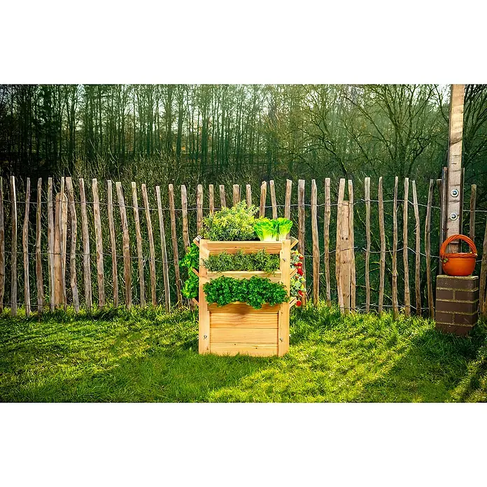 Westmann Hochbeet Premium L - 65 x 65 x 73 cm, Holz, Natur - Drei-stufiger Kräutergarten aus Holz mit frischen Kräutern und Salat vor einem rustikalen Holzzaun.