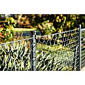 H+S Zauntechnik Zaunpfosten Oktavia (Höhe: 2 m, Durchmesser: 3,8 cm, RAL 7016 Anthrazit, Stahl) | BAUHAUS