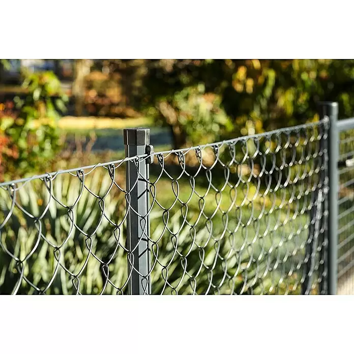 H+S Zauntechnik Zaunpfosten Oktavia - Höhe: 2 m, Durchmesser: 3,8 cm, RAL 7016 Anthrazit, Stahl - Grauer Maschendrahtzaun aus Metall in einem Garten, mit unscharfem grünem und herbstlichem Laub im Hintergrund.