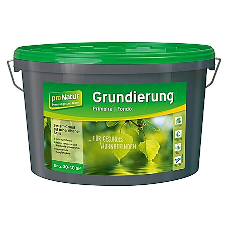Baufan Pronatur Tiefengrund (5 l, Farblos)