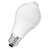 Voltolux Bombilla LED (E27, 12 W, 1.055 lm, Blanco frío)