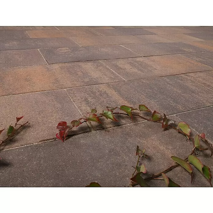 EHL Terrassenplatte BAUHAUS - 50 x 25 x 4 cm, Sunset, Beton - Stimmungsaufnahme