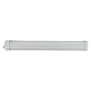 Ritter Leuchten LED-Feuchtraum-Lichtleiste Omega (18 W, Länge: 50 cm, Tageslichtweiß)
