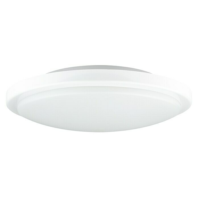 Ritter Leuchten LED-Rundleuchte SensoDurchmesser: 288 mm Diagonal View