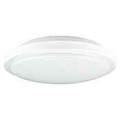 Ritter Leuchten LED-Deckenleuchte rund Senso (Bewegungsmelder, 18 W, Ø x H: 250 x 64,5 mm, Weiß, Neutralweiß) | BAUHAUS