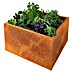 Palatino Exclusive Line Macetero para plantas Lotte 