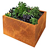 Palatino Exlusive Line Maceta para las plantas (60 x 60 x 50 cm, Acero Corten, Rojo-pardo)