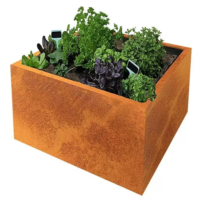 Palatino Exclusive Line Macetero para plantas Lotte - 60 x 60 x 50 cm, Acero Corten, Rojo-pardo - Jardinera rectangular de acero corten, llena de diversas hierbas verdes y moradas y pequeños marcadores de plantas.