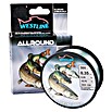 Westline Angelschnur (0,25 mm, 3,8 kg, 300 m)