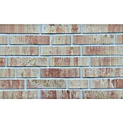 Celina Klinker Verblendstein Wasserstrich Auckland (6,5 x 21,5 cm, Beige/Rot, Steinoptik) | BAUHAUS