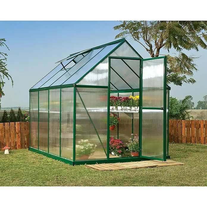 Palram – Canopia Invernadero Mythos - Medidas ext. (An x Pr): 185 x 247 cm, 4 mm, Verde - Un invernadero espacioso con una puerta abierta llena de plantas florecientes en estanterías, sobre un jardín verde.