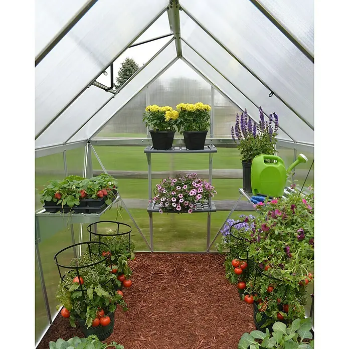 Palram – Canopia Invernadero Mythos - Medidas ext. (An x Pr): 185 x 247 cm, 4 mm, Plateado - Invernadero con plantas en estantes, incluyendo tomates, fresas, petunias y caléndulas.