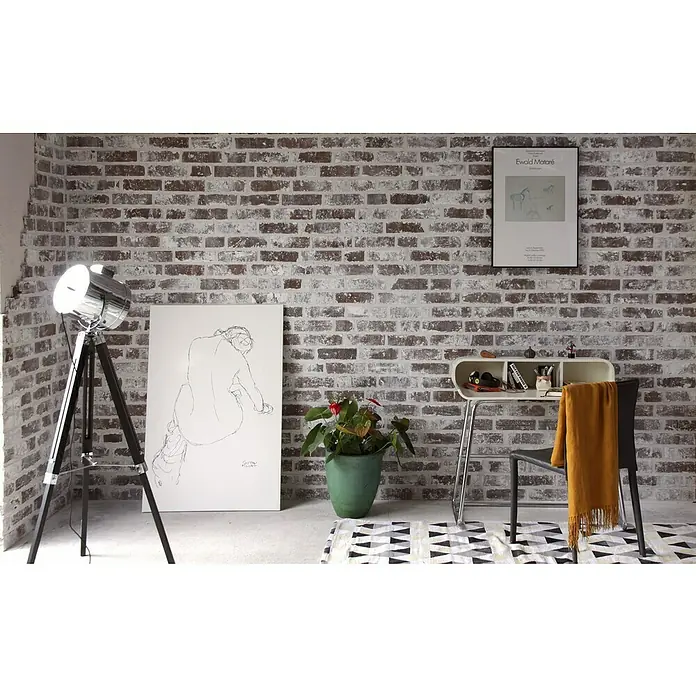 Celina Klinker Verblendstein Vintage Sydney - 7,1 x 24 cm, Weiß/Braun, Steinoptik - Das Bild zeigt einen stilvollen Raum mit einer Stehlampe, einem Bild und einem Schreibtisch, dekoriert mit einem Kunstposter und einer Pflanze.