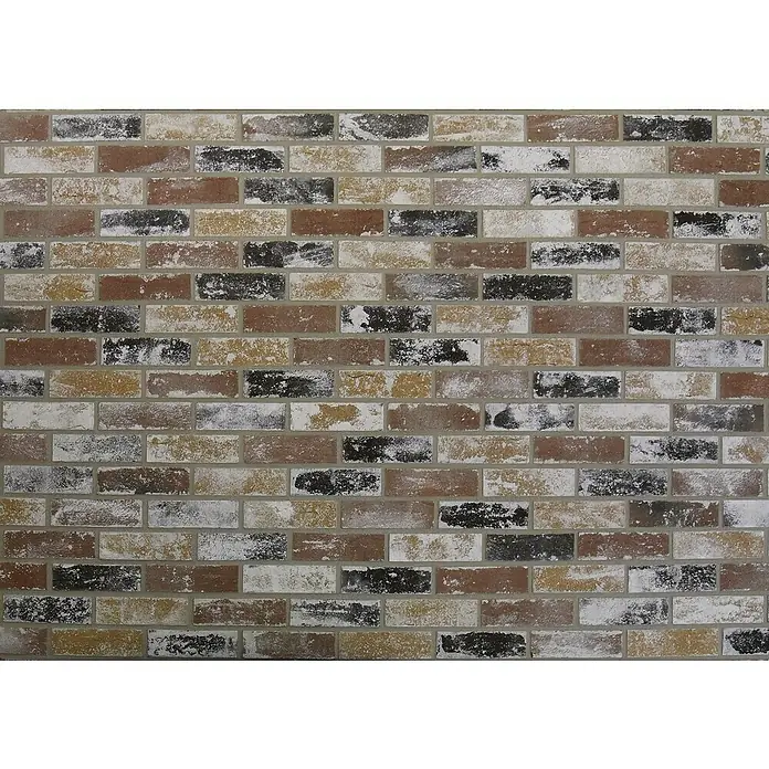 Celina Klinker Verblendstein Vintage Charleroi - 6,5 x 21,5 cm, Mehrfarbig, Steinoptik - Nahaufnahme einer dekorativen Ziegelwand mit verschiedenen Farben und Texturen, ideal für Innenarchitektur und Akzente.