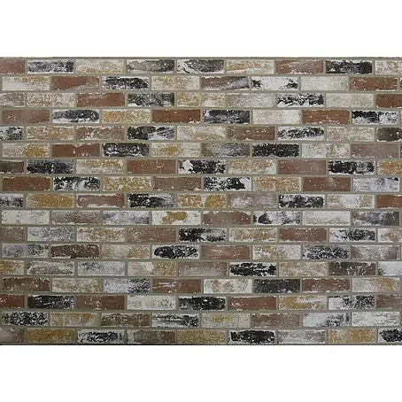 Celina Klinker  Verblendstein Vintage Charleroi