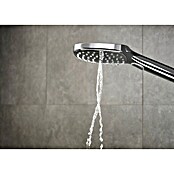 Hansgrohe Handbrause Raindance Select E 120 (Anzahl Funktionen: 3, Durchmesser: 12 cm, Chrom)